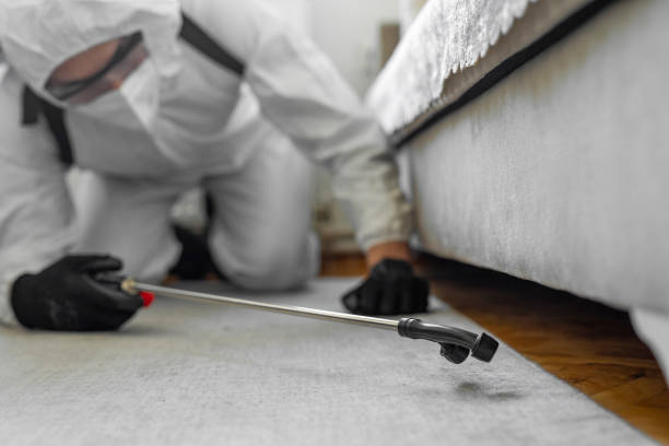 Professional Bed Bug Control technician working in Oxford, PA
