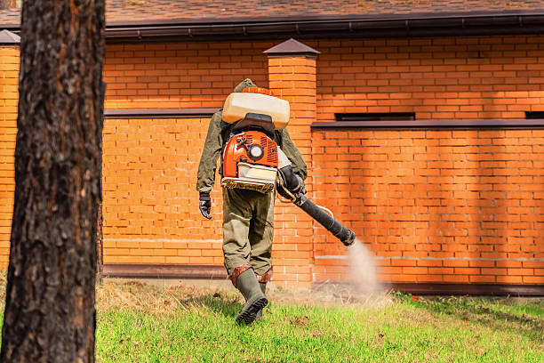 Trusted Bed Bug Control service in Oxford, PA - Nex Pest Control